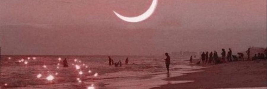 Cover image for post those tender raptures, within hushed explosions, by anarosewood