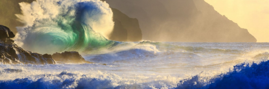 Cover image for post The Little Ocean, by Taki