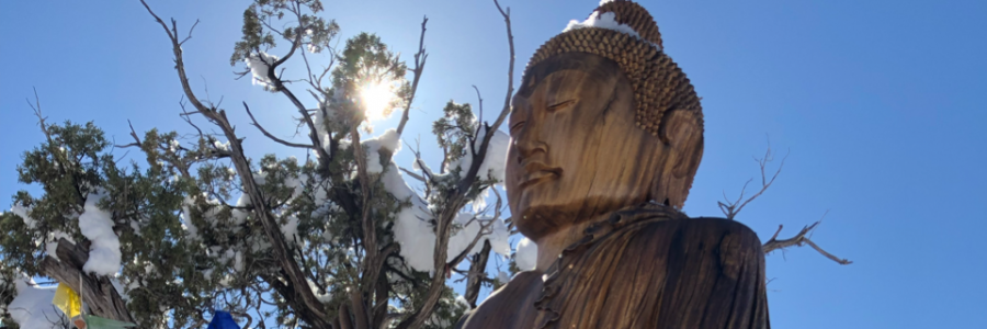 Cover image for post EVOLVING, by LucyMontana