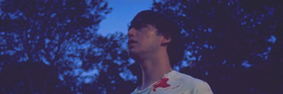 Cover image for post the heart is a bone, by acaciatulane