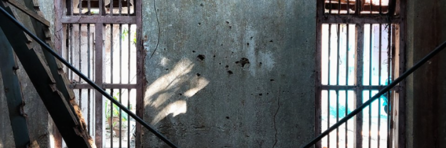 Cover image for post Survival: The Remains, by Danceinsilence