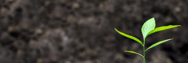 Cover image for post 1., by drinkingthesun