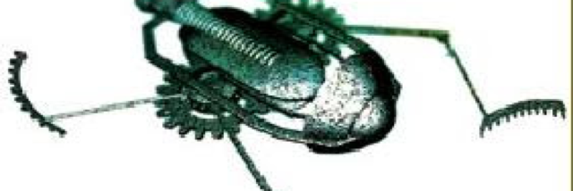 Cover image for post The Thief, by Valerie