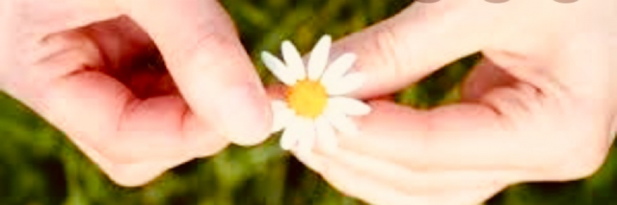 Cover image for post Nature Knows, by GeorgieGnu