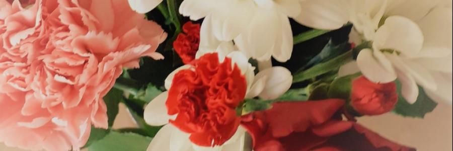 Cover image for post that gentle sun, painted into my fibers, by anarosewood