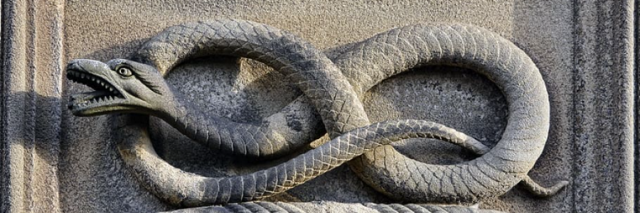 Cover image for post Survival: Detection, by Danceinsilence