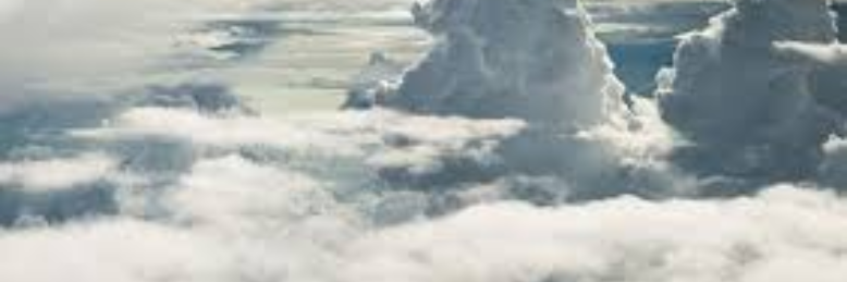 Cover image for post Resting Together, by sandflea68