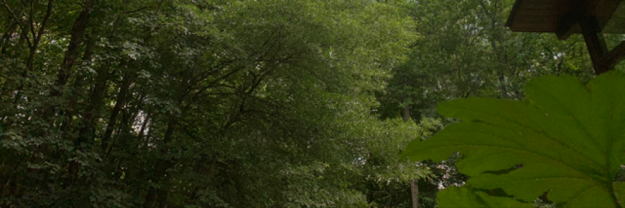 Cover image for post Never matching, by Simone