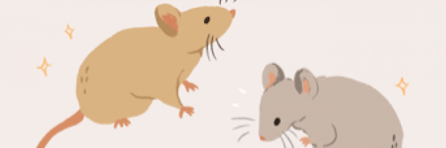 Cover image for post RATS, by Mnezz