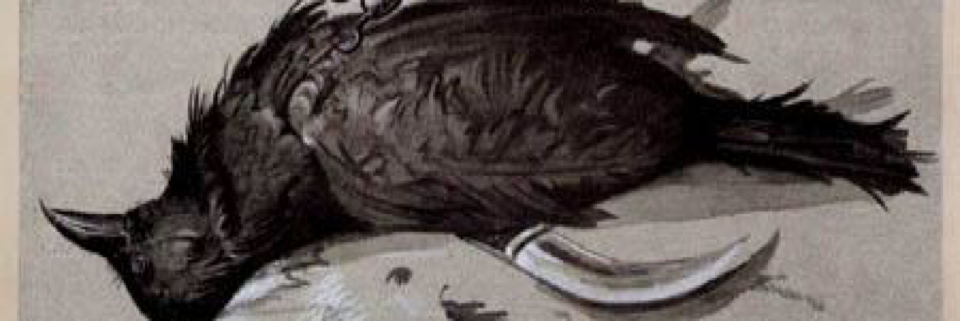 Cover image for post Never. More., by DaveK