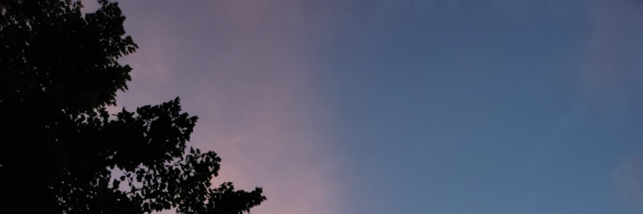 Cover image for post pt 1: him, by littlegee