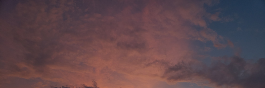 Cover image for post pt 2: them, by littlegee