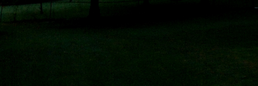 Cover image for post How/How much we invest in Resetting of the Clocks, by REllyn