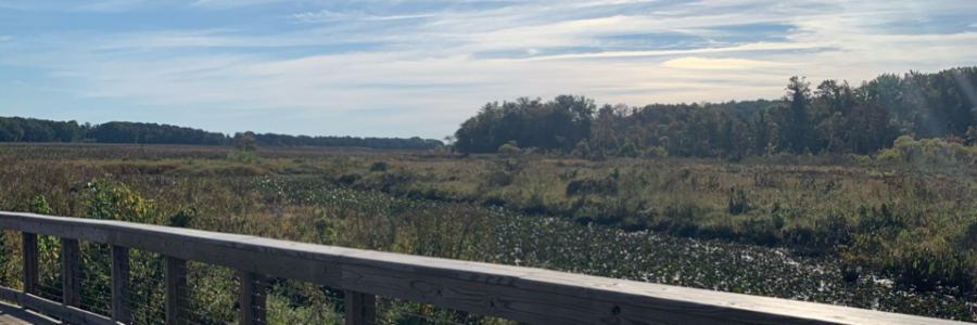 Cover image for post Personal Lines- Chapter 1- Tomato Tomáto, by TreeTop7