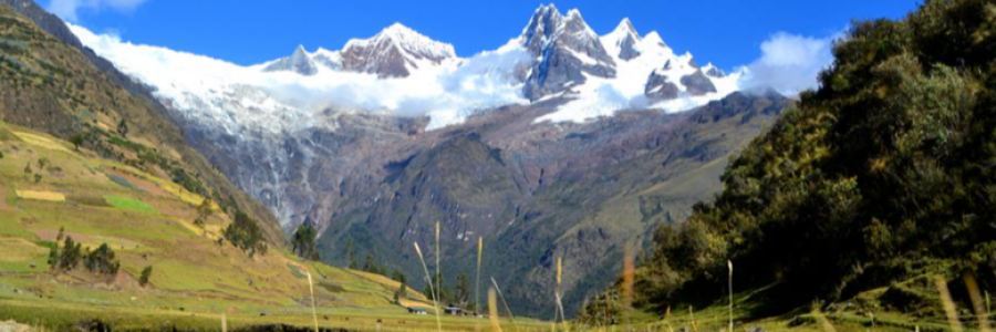 Cover image for post Pishtaco, by EvilMorty