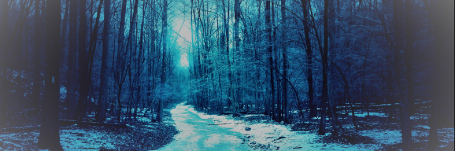 Cover image for post where the willows whisper between strong oaks, by anarosewood