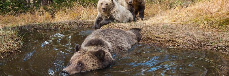 Cover image for post Too Deep, by Taki