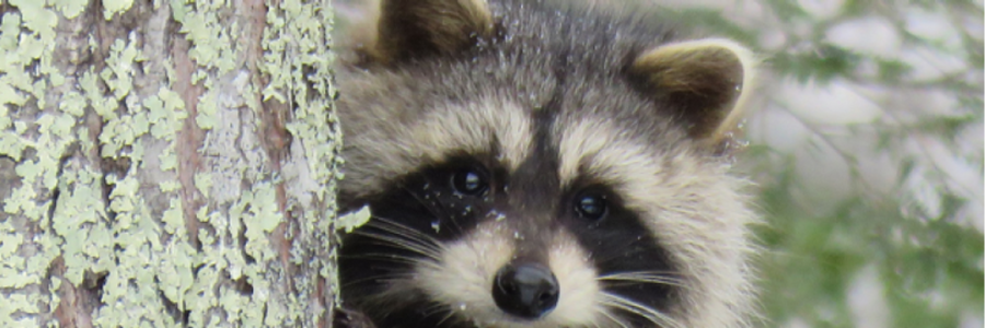 Cover image for post Untitled, by BatelEvvie