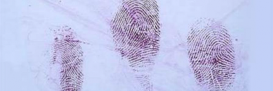 Cover image for post Untitled, by JimLamb