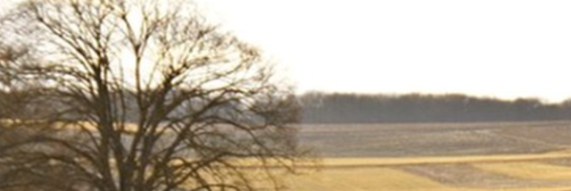 Cover image for post We can be kind or we can be human, by StellarMoon