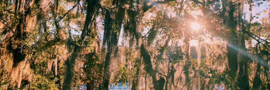 Cover image for post handiwork., by alexandrak