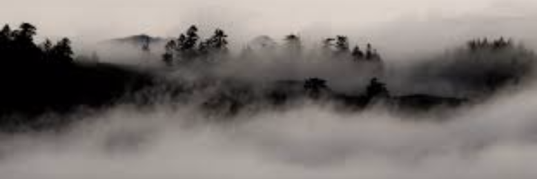 Cover image for post Own, by manicpixies