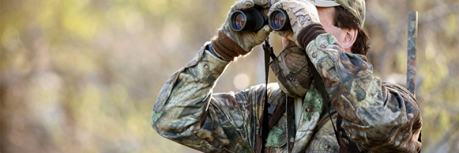 Cover image for post Survival: The Paths Between Shadows, by Danceinsilence