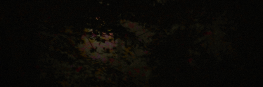 Cover image for post Natural clock, by Simone