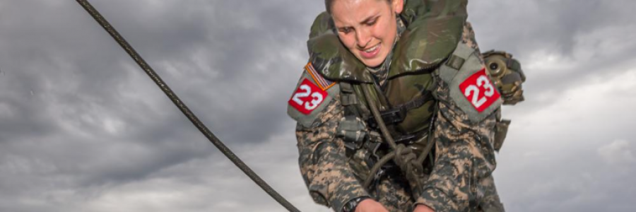 Cover image for post Survival:  An Unexpected Visitor, by Danceinsilence