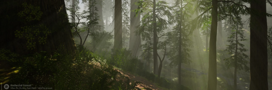 Cover image for post Survival: The Last Time, by Danceinsilence