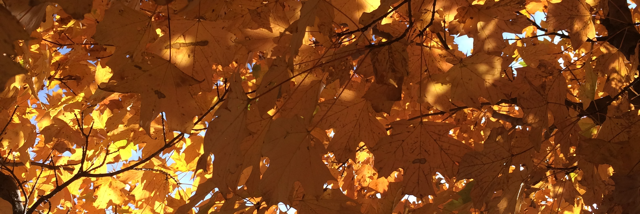 Cover image for post Broken in the Sun, by NoLoveLeft