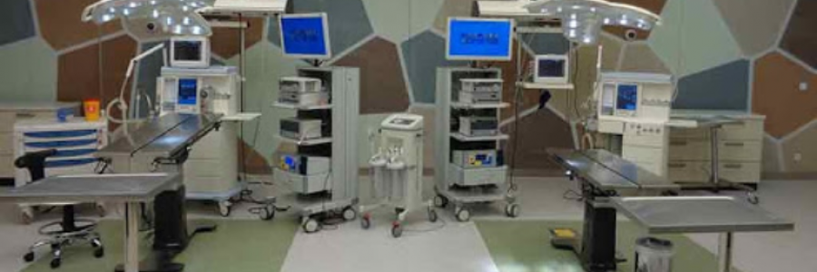 Cover image for post Survival: Never Give Up, by Danceinsilence