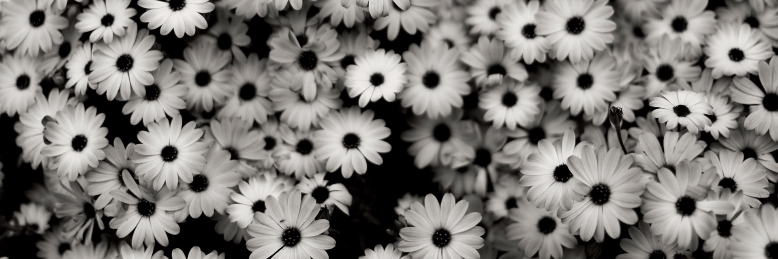 Cover image for post Memories Deep, by AnnCost