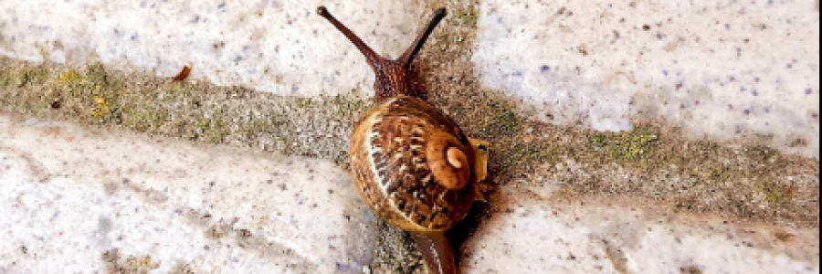 Cover image for post Choice Crossroad, by R_Gholami