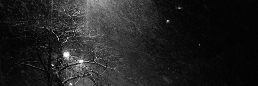 Cover image for post She is a Whirlwind, by PhoenixPilot