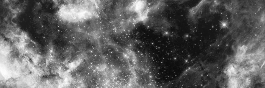 Cover image for post tenuous spaces, and concrete softness of wounded cells, by anarosewood