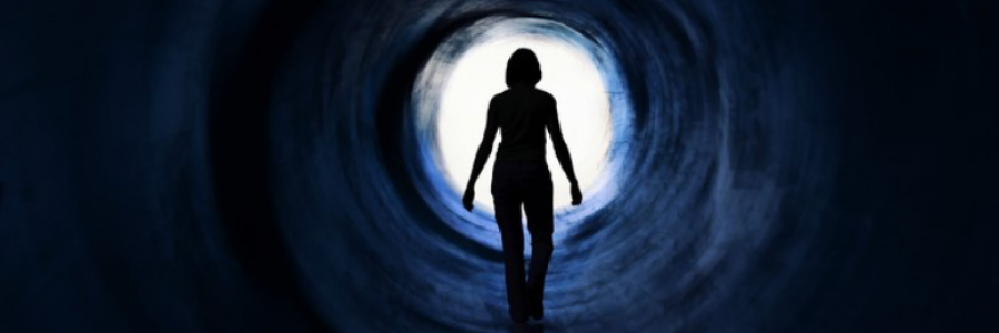 Cover image for post Survival: The Return, by Danceinsilence