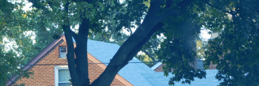 Cover image for post Lil' Red Riding Through the Hood, by LexiCon