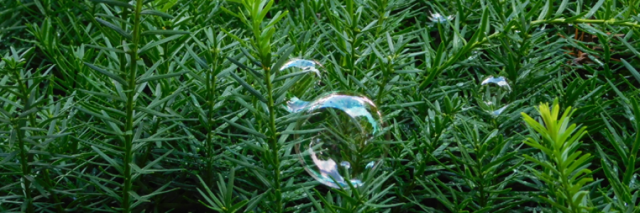 Cover image for post Infinite Imaginations (a rant), by LexiCon