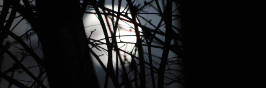 Cover image for post A Dungeon Visitor (script), by LexiCon