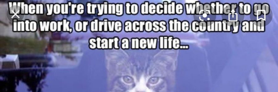 Cover image for post Setup to fail, by Smoothvibes