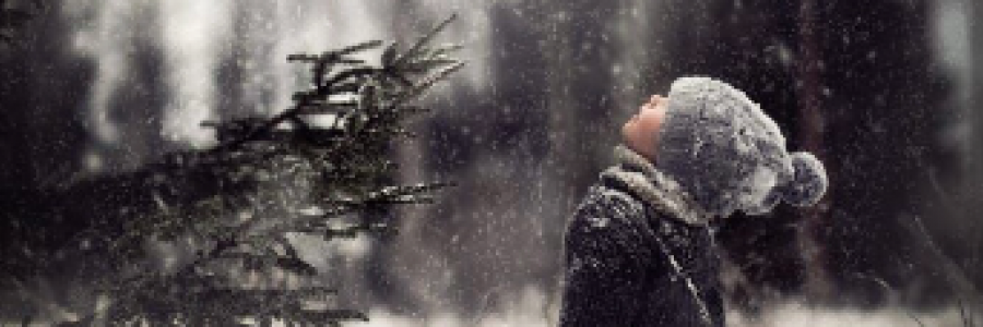 Cover image for post Soft Slivers of Simplicity, by TeaRise