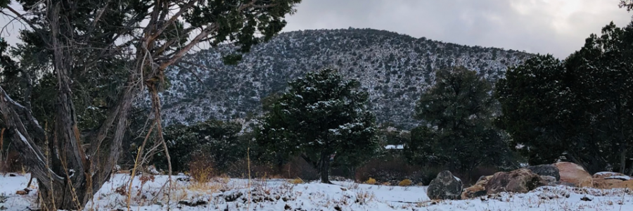 Cover image for post I never did like the fall that much anyways, by JackCharles