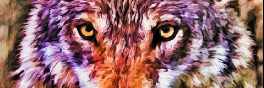 Cover image for post MATERNAL, by R_Gholami