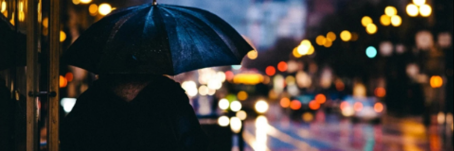 Cover image for post Autumn of Spring, by R_Gholami