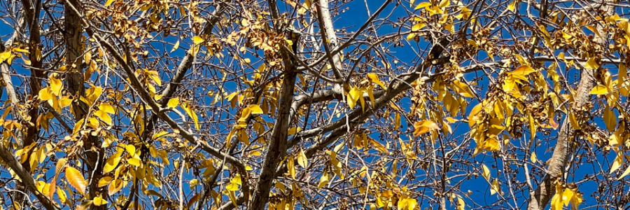 Cover image for post The real world, by JackCharles