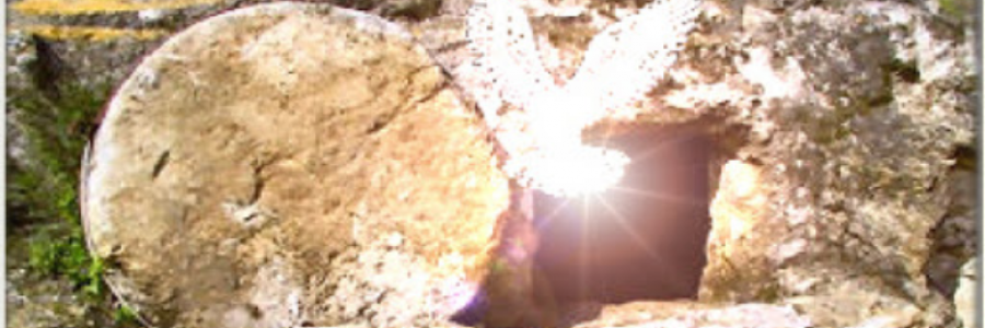 Cover image for post A Patch of Earth, by Danceinsilence