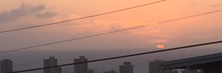 Cover image for post Follow me, by ArzellaLuna