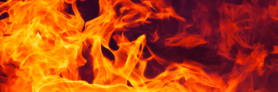 Cover image for post Back To The Flames, by Robins