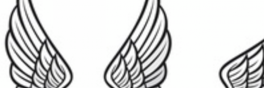 Cover image for post “Hidden Wings” By Sentual S. : December 17, 2020, by Sentual_Rocks